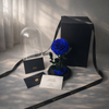 gift ready preserved blue rose in glass dome, luxury box, ribbon and card included