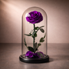 preserved rose glass dome purple, ready to gift, Australia