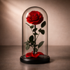 Signature One Dome - Single Red Preserved Rose in Glass Dome on Black Base