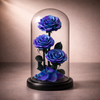 preserved roses dome blue and purple,  luxury gift, real rose preserved, Australia