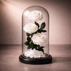 Triple White Everlasting Roses in Glass Dome - Pure Love Gift Australia
