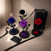 preserved rose domes, luxury gift, real rose preserved, Australia