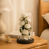 White preserved roses in a glass dome on a nightstand next to a lamp.