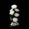 White roses in a glass dome on a black background