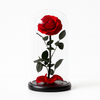 Preserved Single Large Red Rose Dome