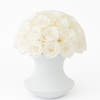 Preserved Roses Arrangement in White Ceramic Vase – White Roses