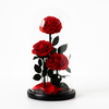 Preserved Triple Red Roses Tower Dome