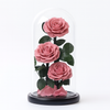 Preserved Rose Glass Dome – Tower – Dusty Pink - 3 Roses