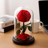 Preserved Single Red Rose Dome-Small