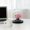 Preserved Carnation Glass Dome – “Mom, I Love You” Edition - Pink