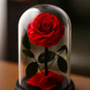 Preserved Single Red Rose Dome-Small