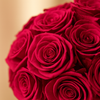 The Signature Vase - Forever Roses