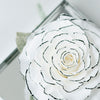 Giant Preserved Rose in Acrylic Box – White