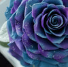 Giant Preserved Rose in Acrylic Box – Galaxy Blue