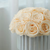 Preserved Roses Arrangement in White Ceramic Vase – Champagne Roses